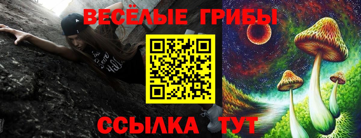 наркота  Псилоцибиновые грибы Psilocybe  Борзя  Вход с VPN  Псилоцибиновые грибы Psilocybe 
