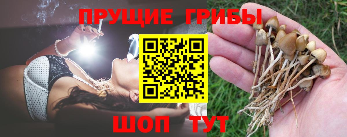 Псилоцибиновые грибы мухоморы Борзя