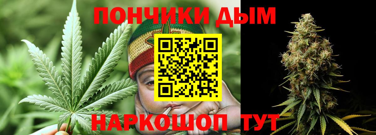 Бошки марихуана семена Борзя